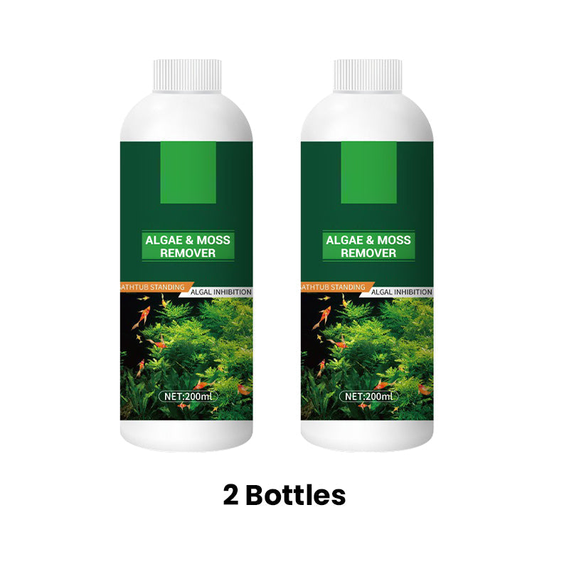 Éliminateur d'Algues et de Mousse pour Aquarium - Purification Sûre de l'Eau