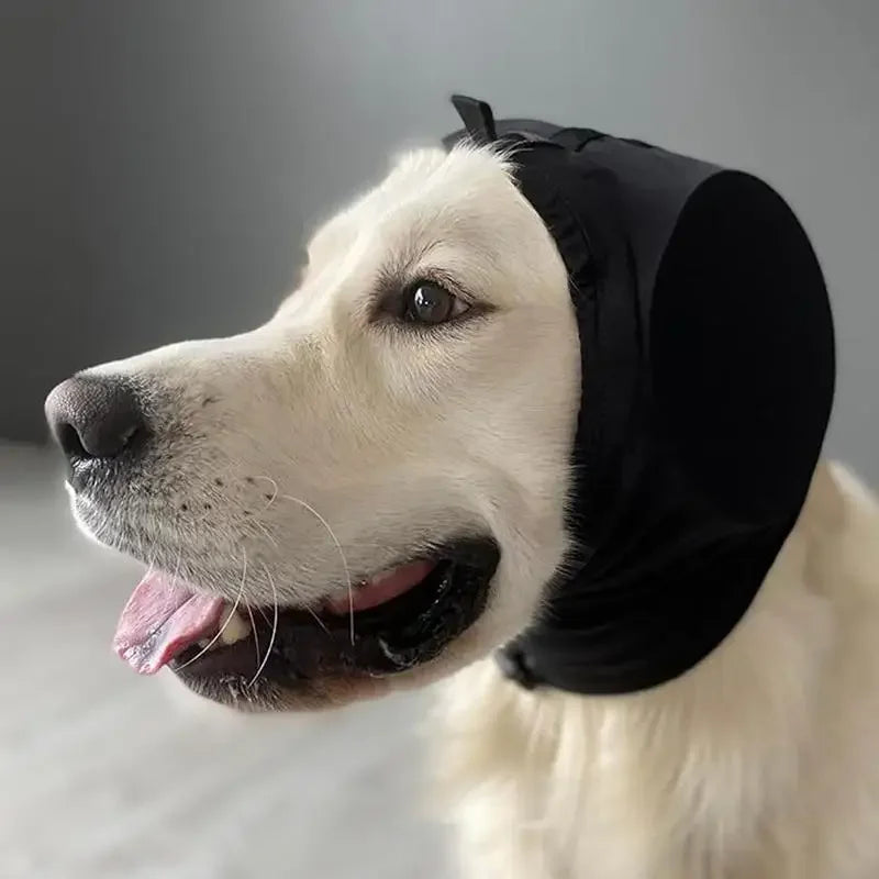 nordivo – protections auriculaires pour chiens