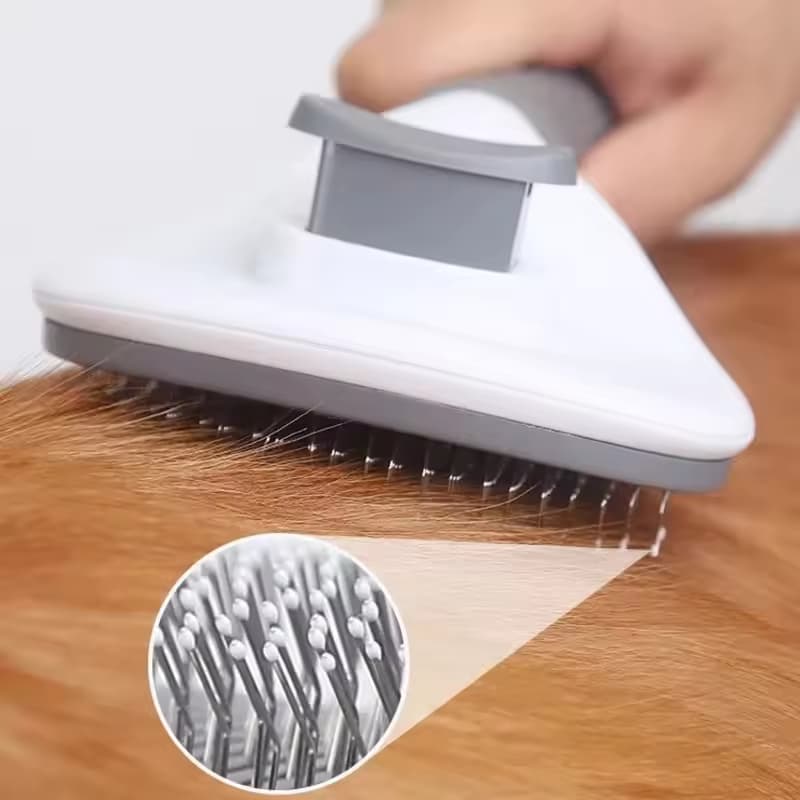 ZampaShop - Brosse Pour Chiens et Chats