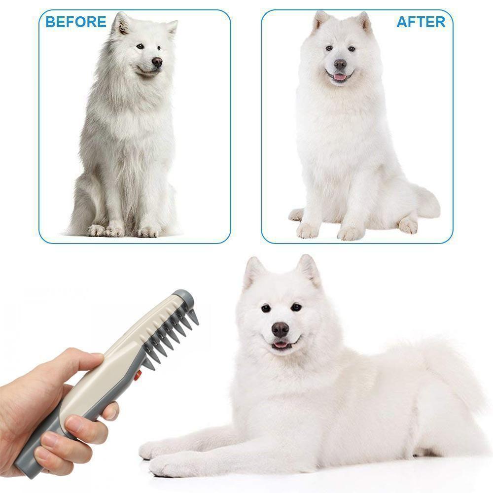 nordivo – Peigne électrique pour le soin des animaux