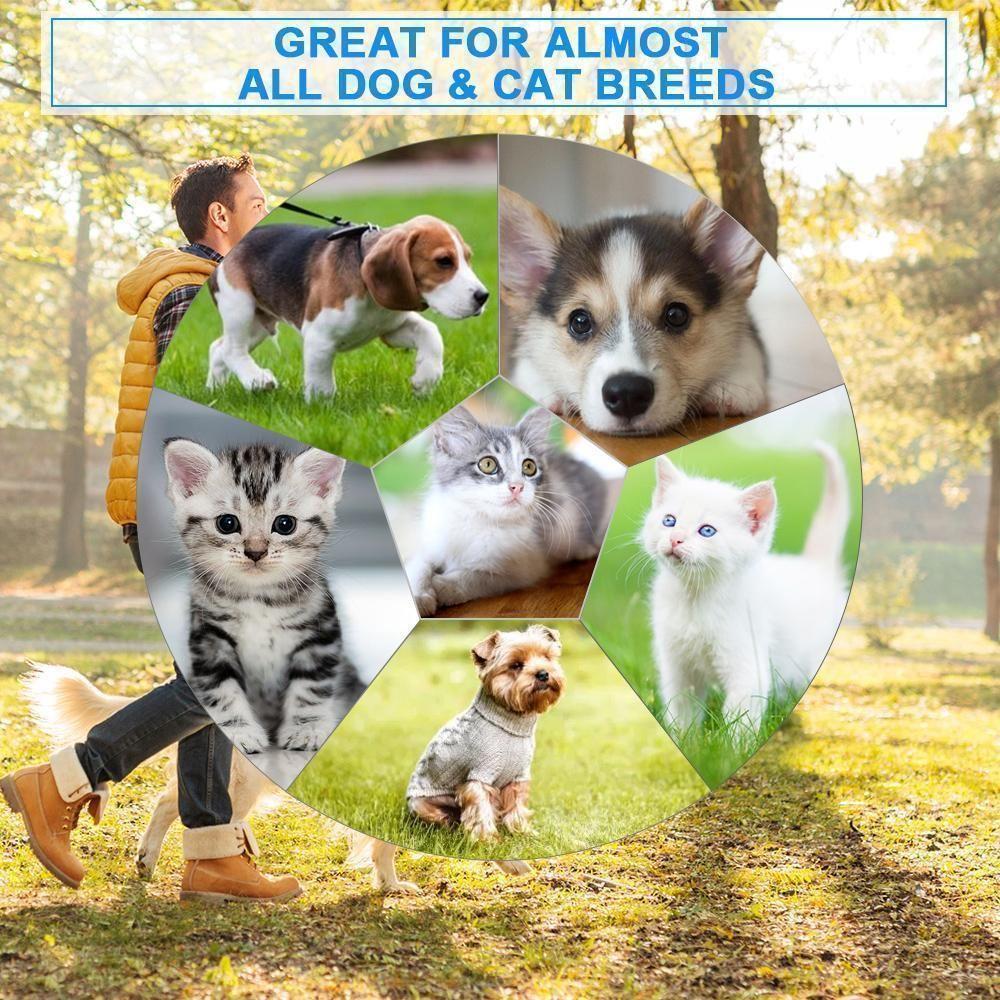 nordivo – Peigne électrique pour le soin des animaux