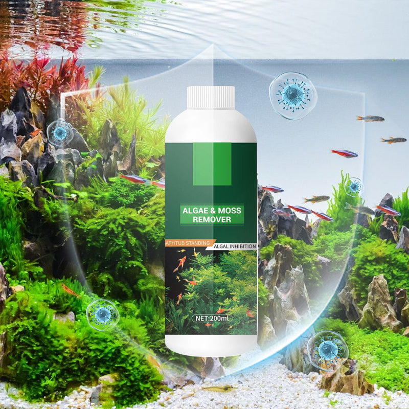 Éliminateur d'Algues et de Mousse pour Aquarium - Purification Sûre de l'Eau