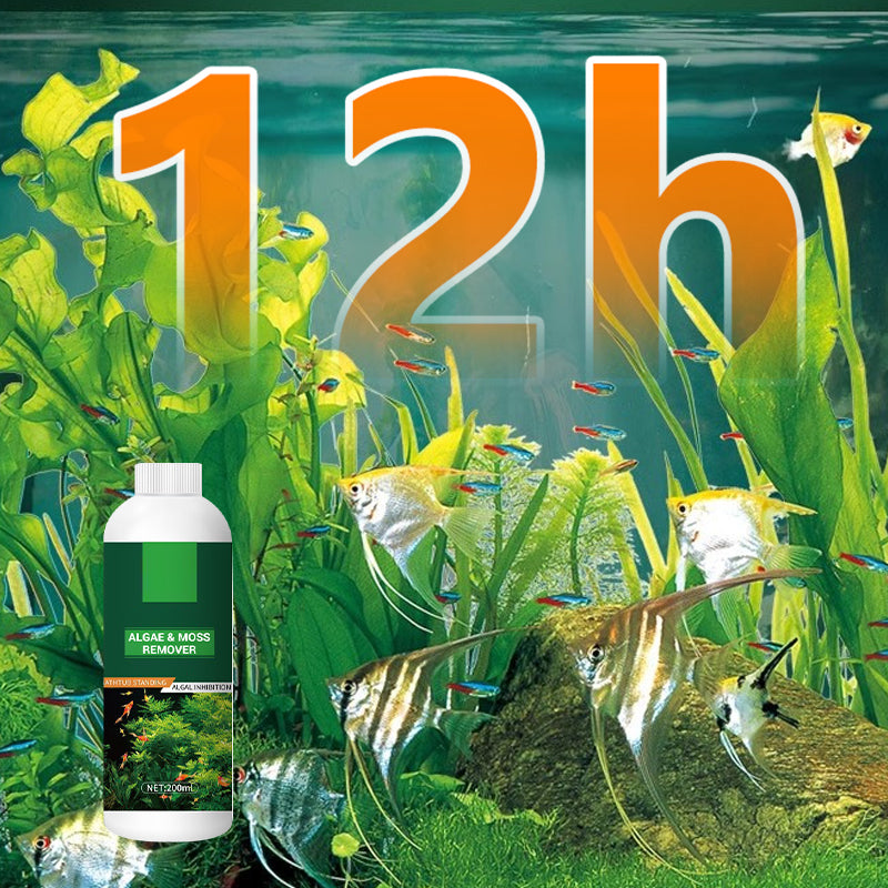 Éliminateur d'Algues et de Mousse pour Aquarium - Purification Sûre de l'Eau