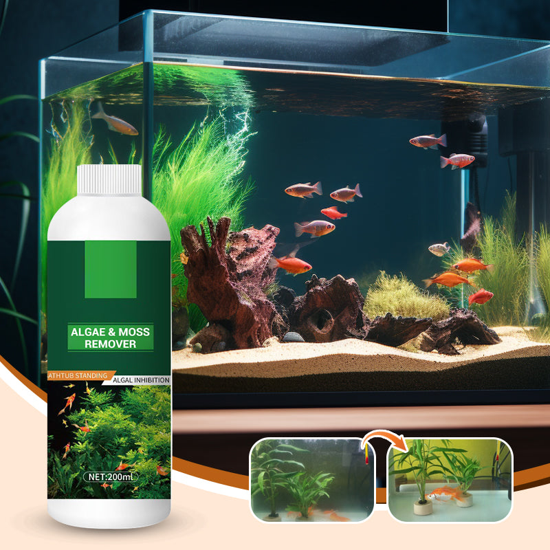 Éliminateur d'Algues et de Mousse pour Aquarium - Purification Sûre de l'Eau