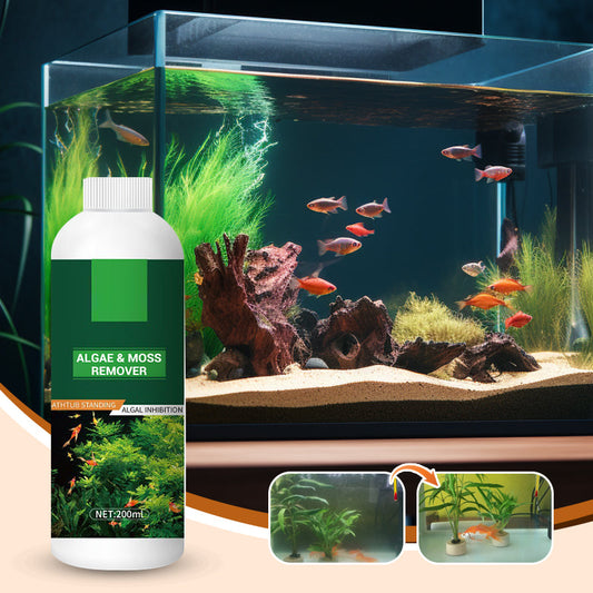 Éliminateur d'Algues et de Mousse pour Aquarium - Purification Sûre de l'Eau