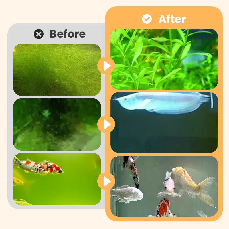 Éliminateur d'Algues et de Mousse pour Aquarium - Purification Sûre de l'Eau
