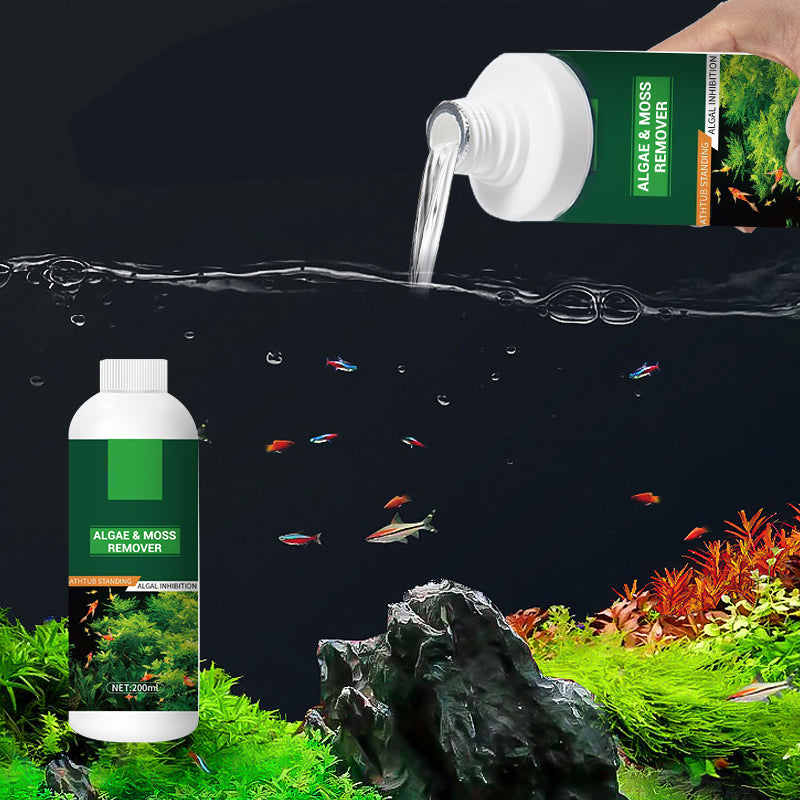 Éliminateur d'Algues et de Mousse pour Aquarium - Purification Sûre de l'Eau