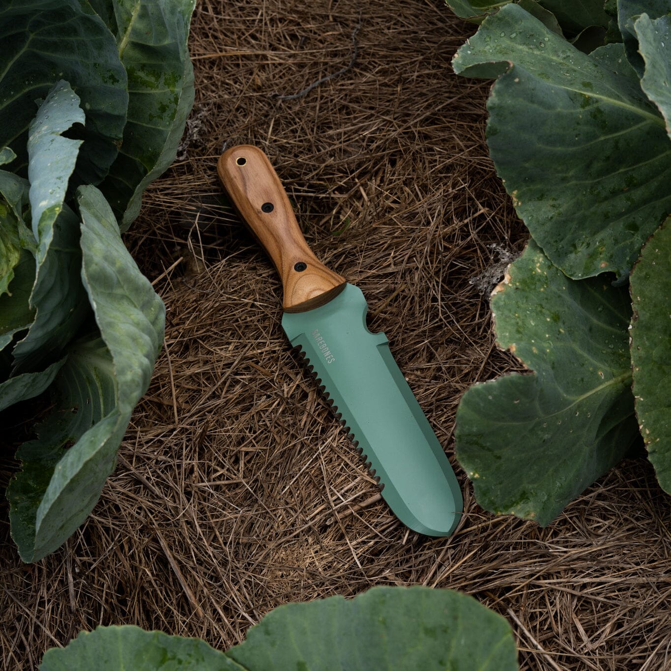 Hori Hori Classique Menthe – Le classique en couleur fraîche