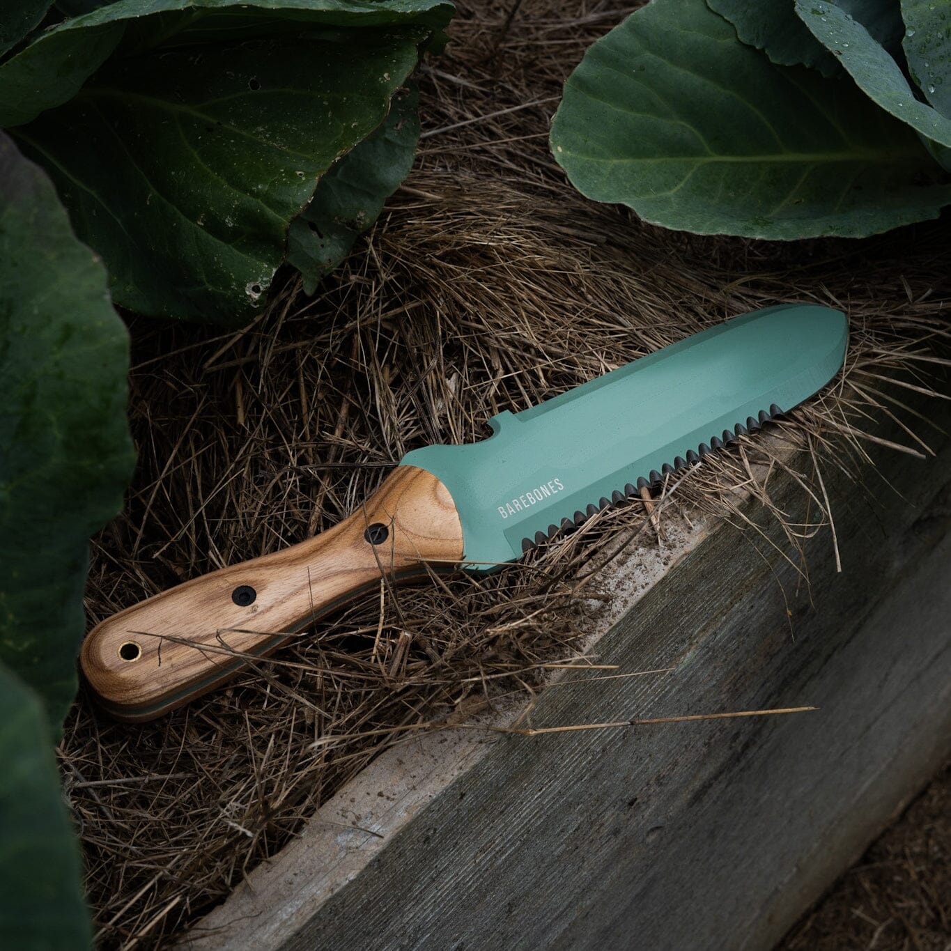 Hori Hori Classique Menthe – Le classique en couleur fraîche