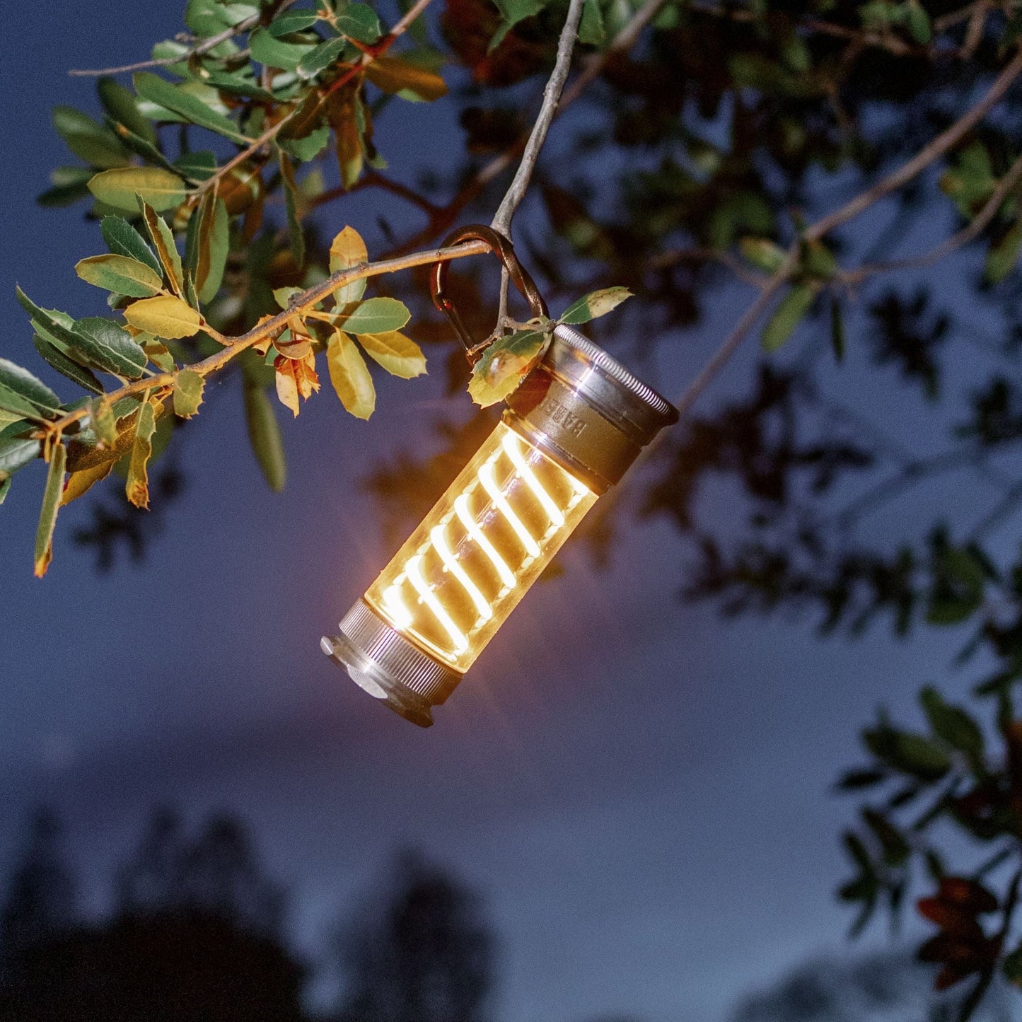 Edison Light Stick – Lanterna multifunzione e torcia con ricarica USB-C e 7 modalità di luce