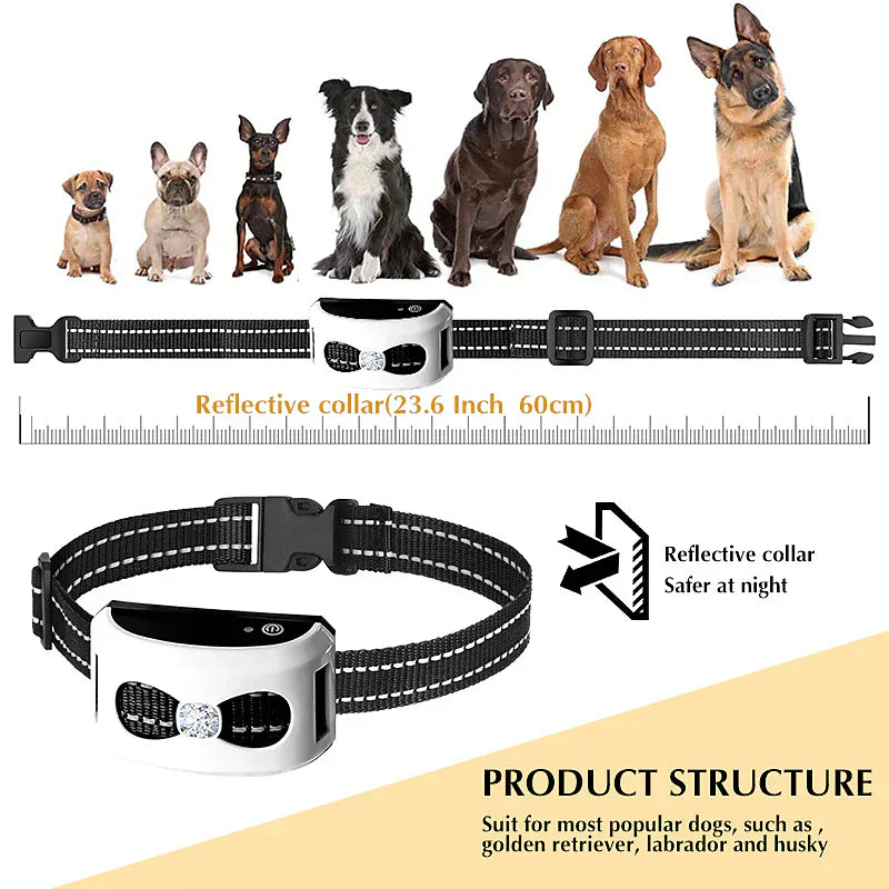 nordivo – Collier de dressage pour chiens sans fil