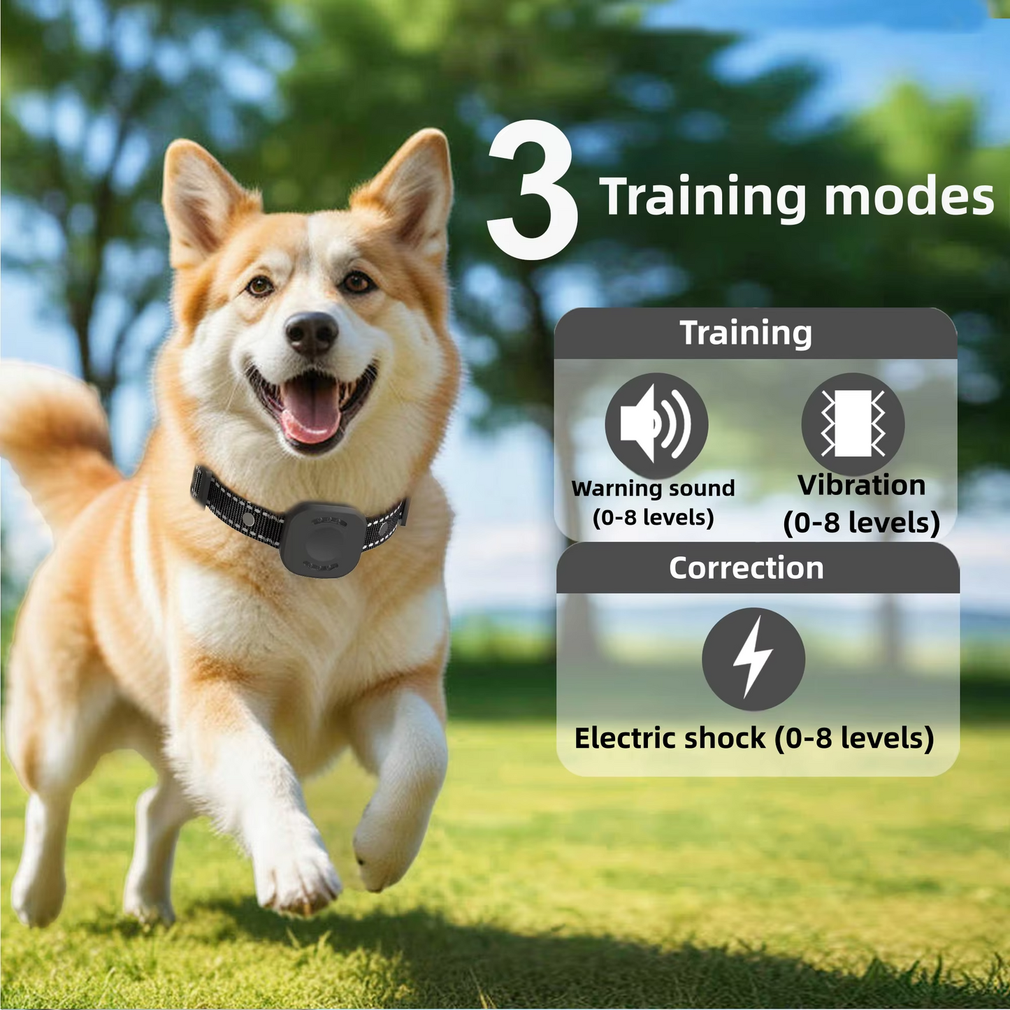 nordivo – Système de clôture sans fil pour chiens avec collier rechargeable