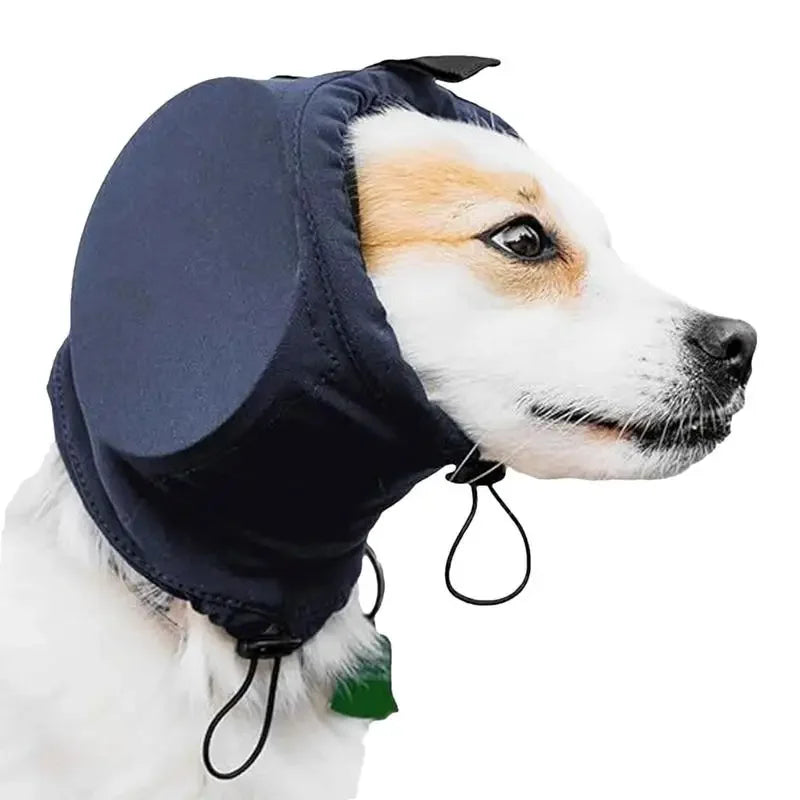 nordivo – protections auriculaires pour chiens