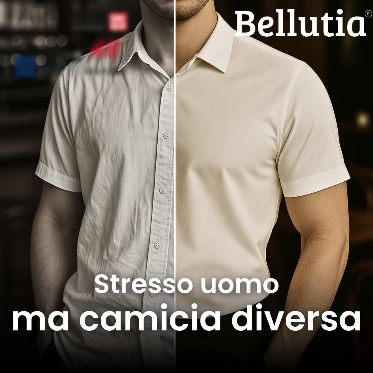 Chemise Ajustée à Manches Courtes