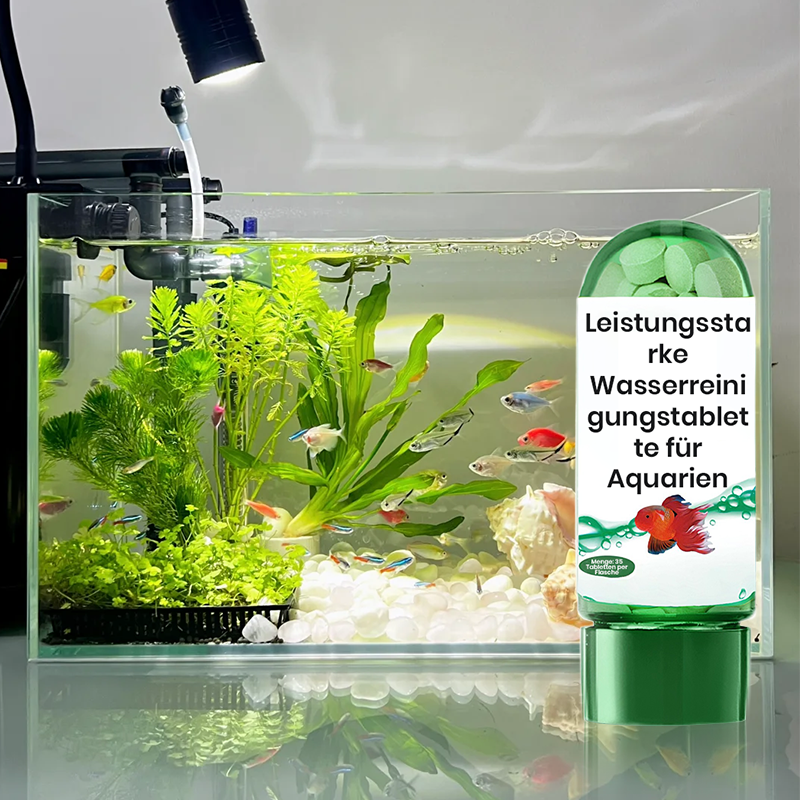 🔥Vendita calda🔥Potente tavoletta per la purificazione dell'acqua dell'acquario（SCONTO DEL 50%）