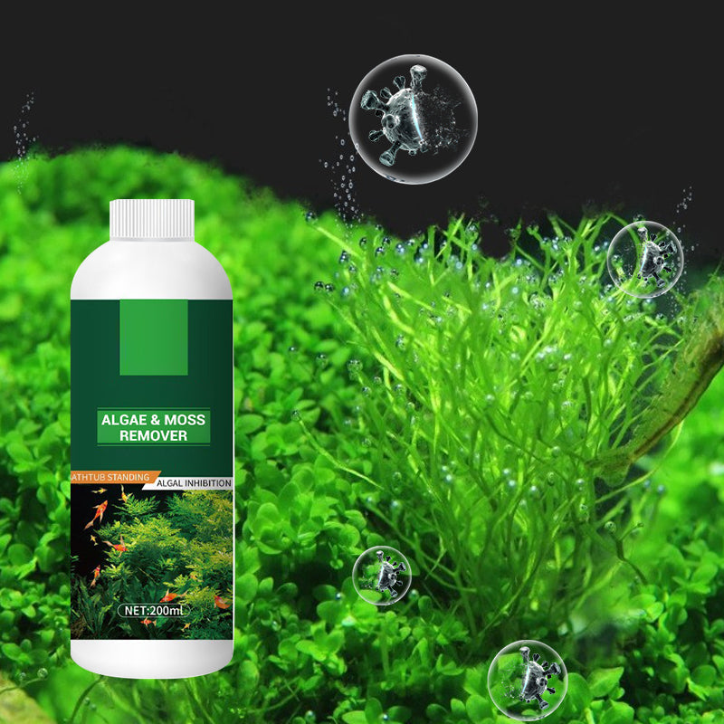 Éliminateur d'Algues et de Mousse pour Aquarium - Purification Sûre de l'Eau