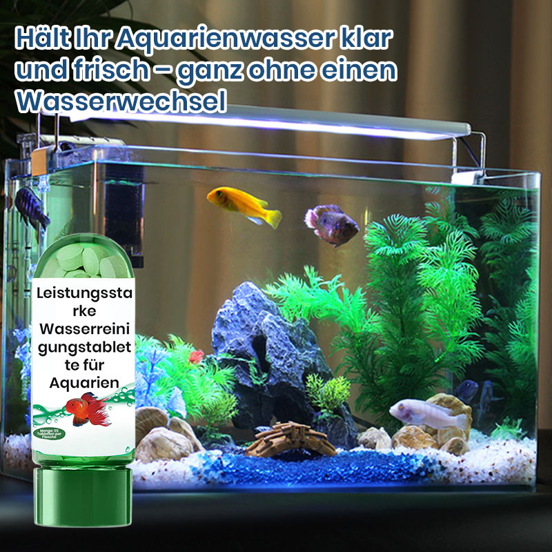 🔥Vendita calda🔥Potente tavoletta per la purificazione dell'acqua dell'acquario（SCONTO DEL 50%）