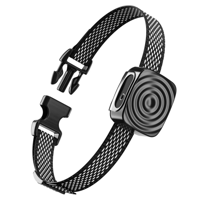 Collier pour chiens d'entraînement