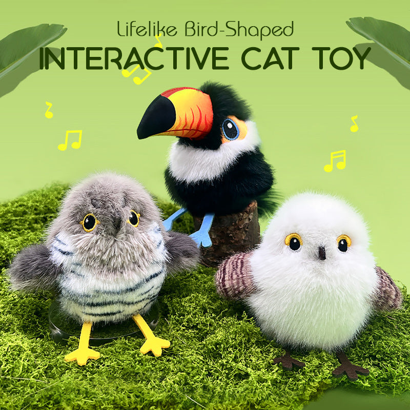 Jouet interactif réaliste en forme d'oiseau pour chats