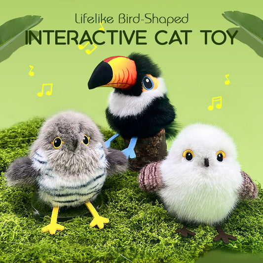 Jouet interactif réaliste en forme d'oiseau pour chats